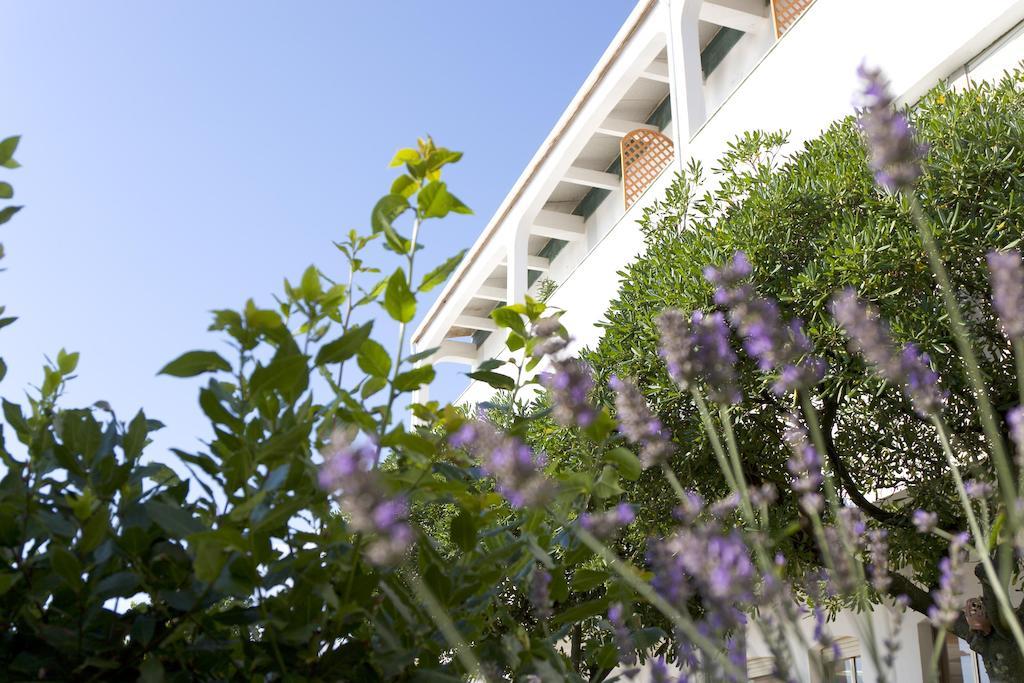 Hotel Baby Gigli Numana Exterior foto